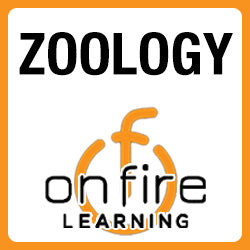 Zoology with Mentor Teacher Support - Semester 1