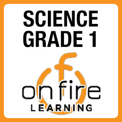 1st Grade Science with Mentor Teacher Support - Semester 1